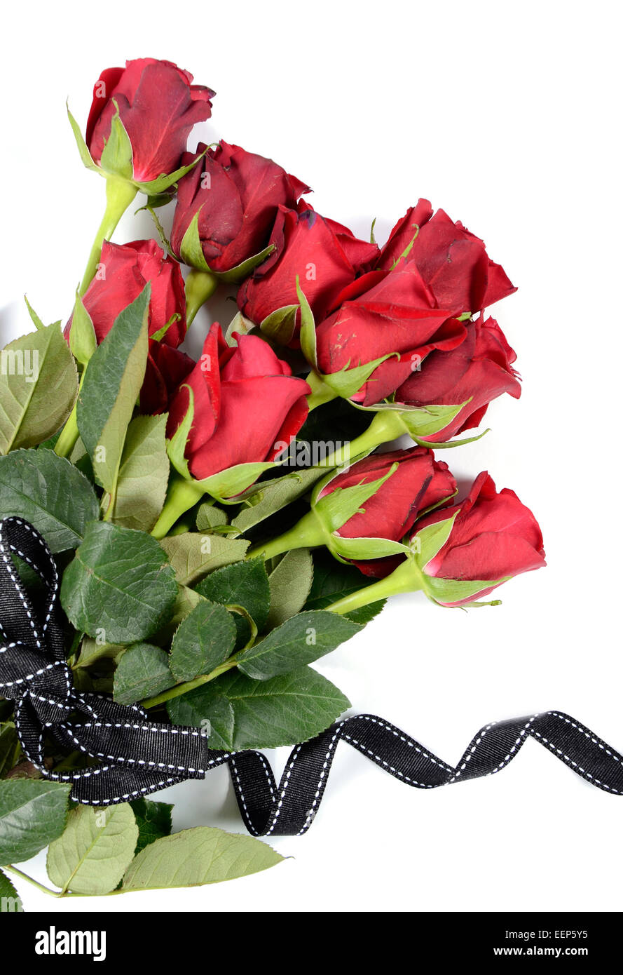 Happy Valentines Day Strauß roter Rosen auf weißem Hintergrund, vertikal mit schwarzen Band... Stockfoto