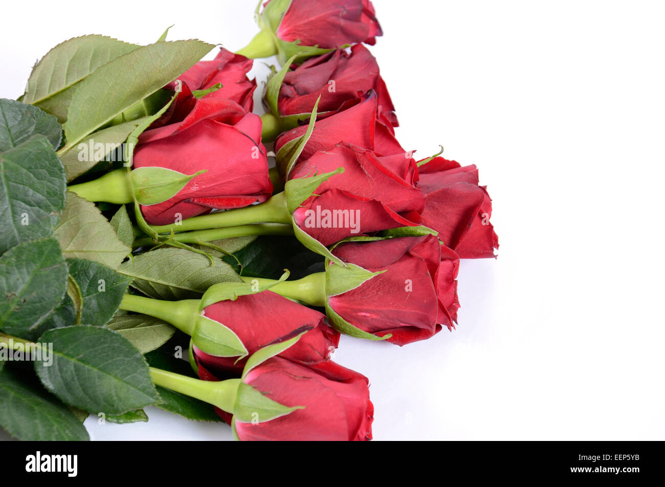 Happy Valentines Day Strauß roter Rosen auf weißem Hintergrund. Stockfoto