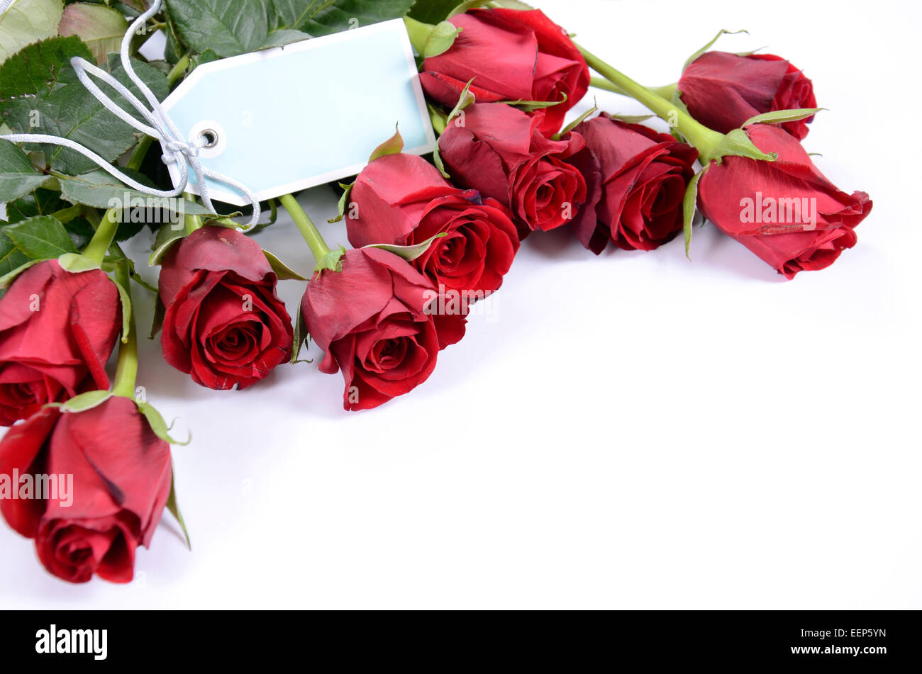 Happy Valentines Day Strauß roter Rosen auf weißem Hintergrund, mit blassen blauen Geschenkanhänger. Stockfoto