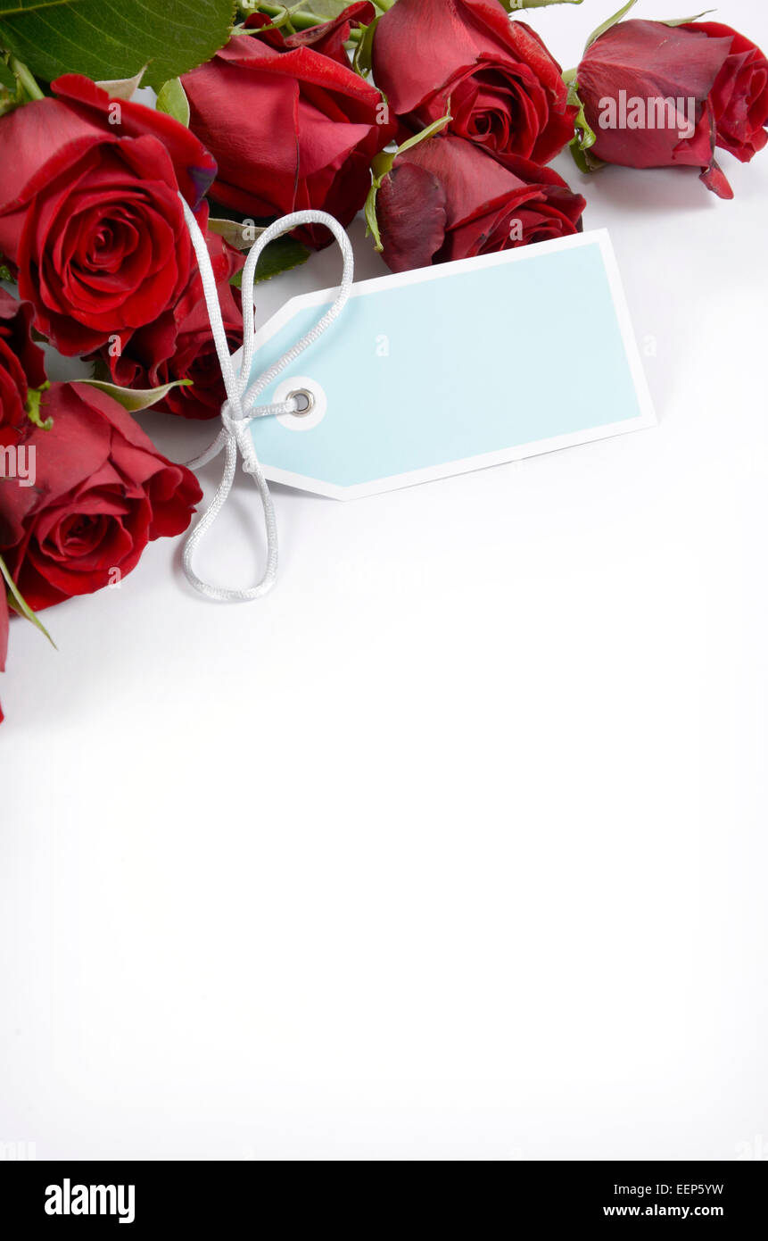Happy Valentines Day Strauß roter Rosen auf weißem Hintergrund, mit blassen blauen Geschenkanhänger - vertikal mit Textfreiraum. Stockfoto
