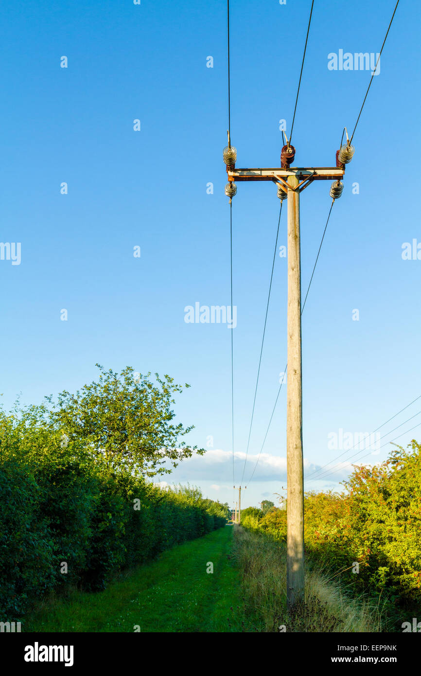 Hölzerne Dienstprogramm Pol und Strom Stromleitungen in der Landschaft, Nottinghamshire, England, UK Stockfoto