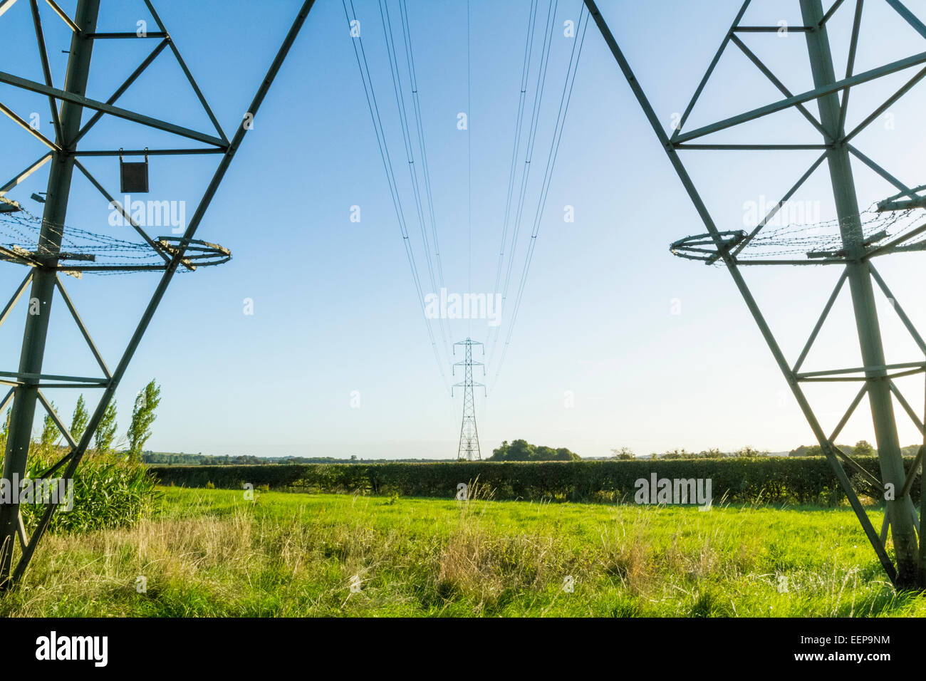 Strommasten, UK aus gesehen unter einem Pylon. Nottinghamshire, England, Großbritannien Stockfoto