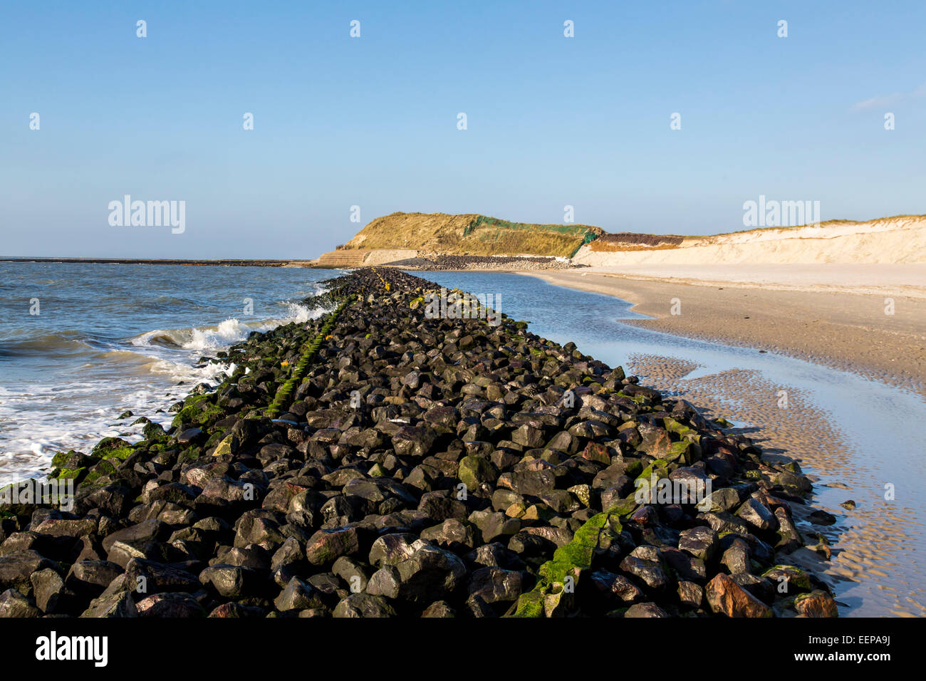 Küstenschutz-Projekt an der West Küste Nordsee Insel Spiekeroog, Deutschland, zum Schutz der Dünen und Strand von Wellen Stockfoto