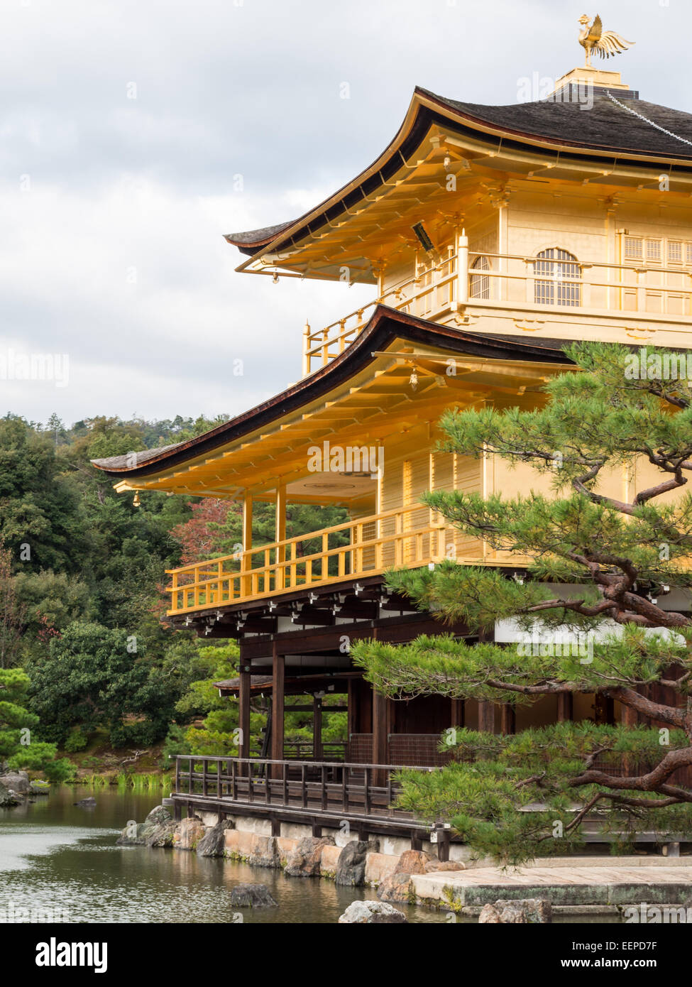 Goldener Pavillon Kinkaku-Ji in Kyoto Stockfoto