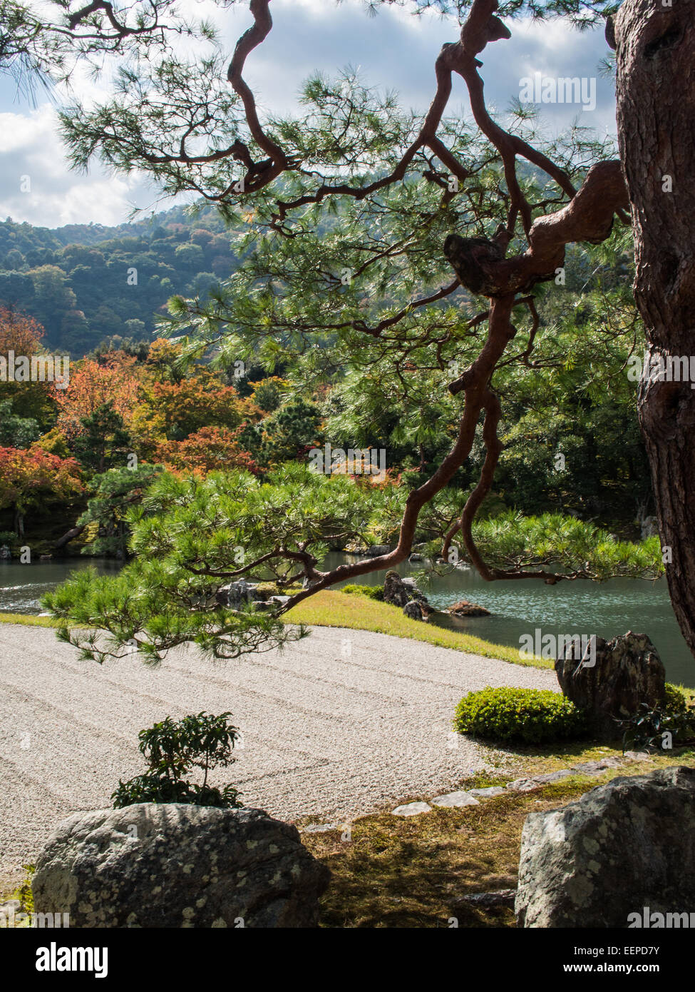 Tenru-Ji Gartenlandschaft mit Kies und Teich gesehen zwischen den Bäumen Stockfoto