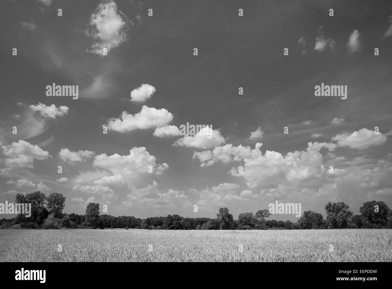 Ländlichen Gebieten und Bauernhof an einem sonnigen Tag mit Wolken und Himmel. Polnische Landschaft. Stockfoto
