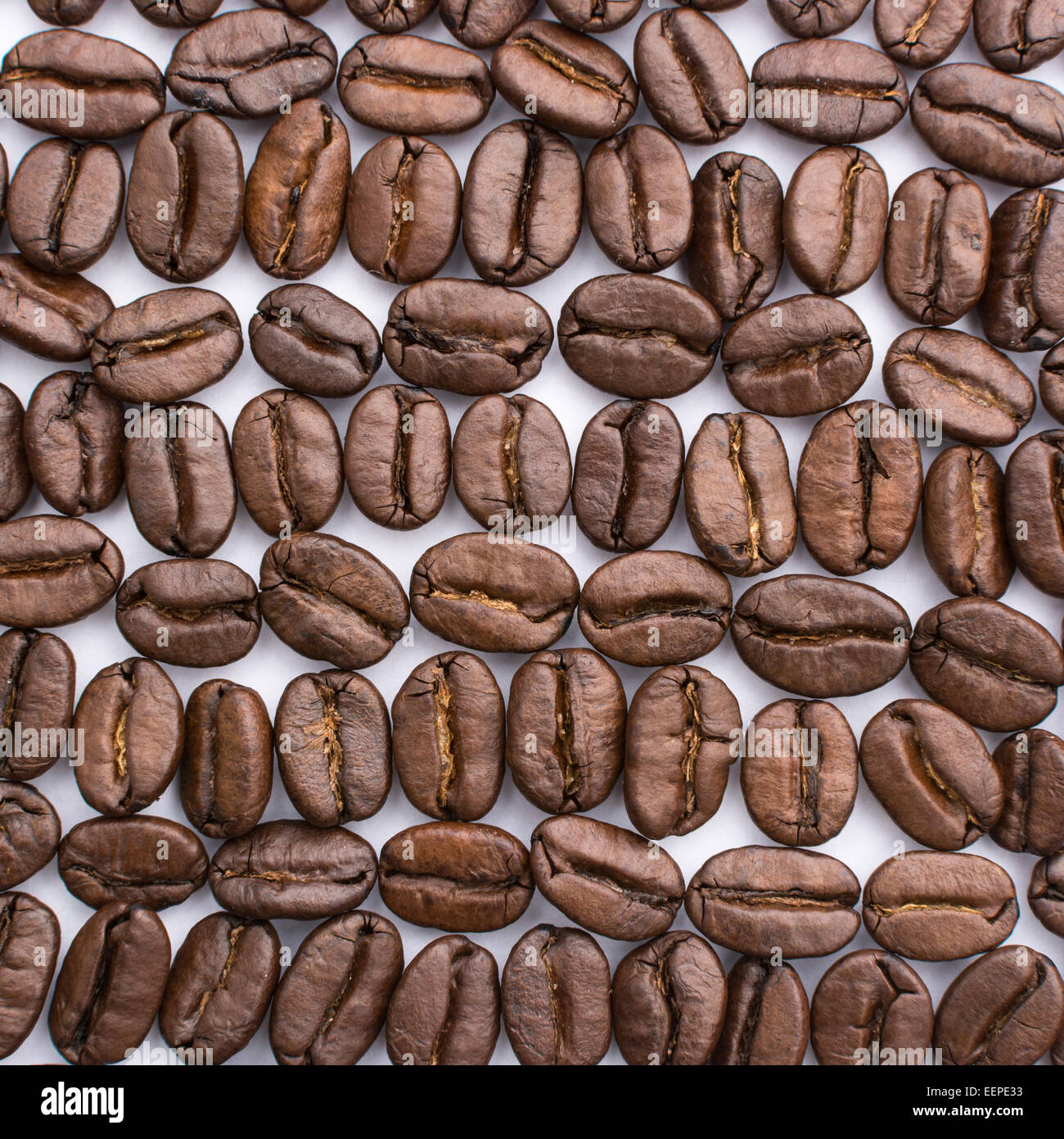 geröstete Kaffeebohnen, angeordnet in einem regelmäßigen Muster auf weißem Hintergrund Stockfoto