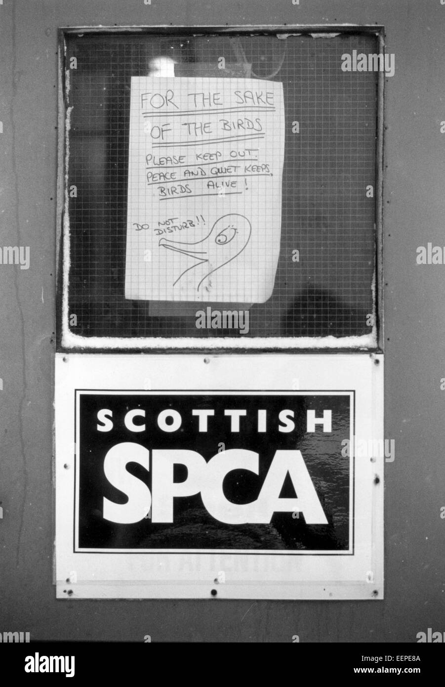 Vogel Rettung Zentrum Zeichen, Shetland, während Öl Reinigung. Stockfoto