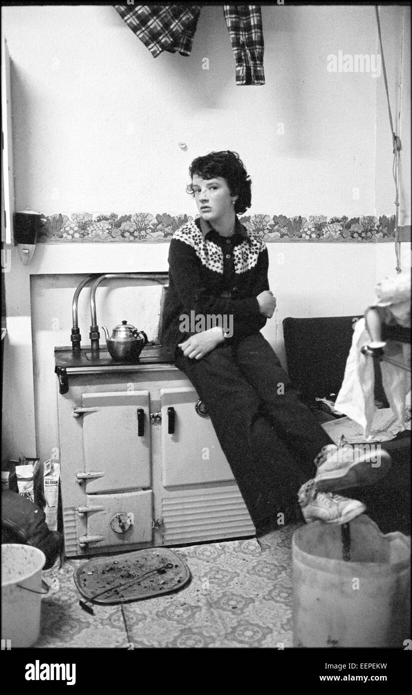 Rosie zu Hause im Norden nisten, Shetland. Stockfoto