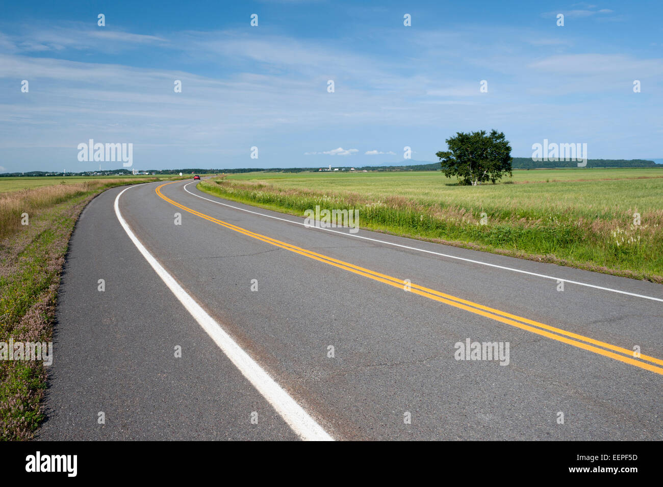 Trans Canada Highway, Kamouraska Region, Provinz Quebec, Kanada. Stockfoto