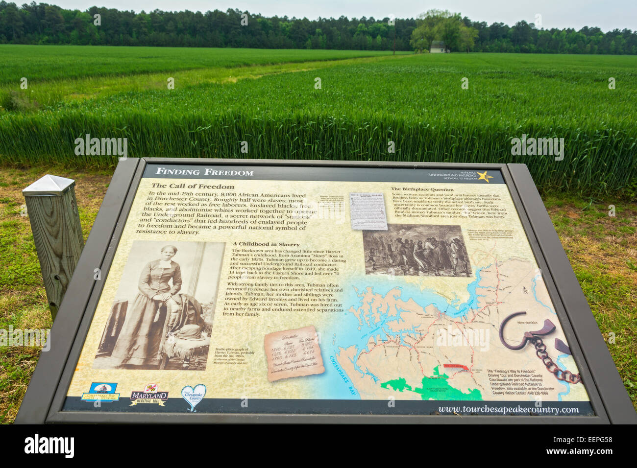 Harriet Tubman Stockfotos Und Bilder Kaufen Alamy