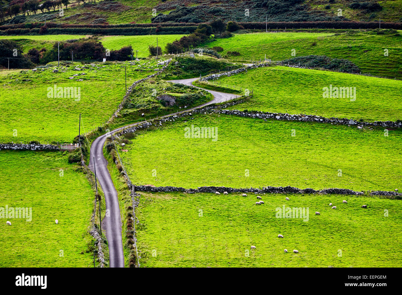 kleine kurvenreiche Landstraße im ländlichen Irland Stockfoto