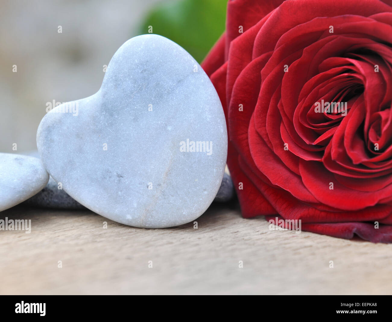 Schließen Sie auf einer herzförmigen Stein neben einer Res-rose Stockfoto