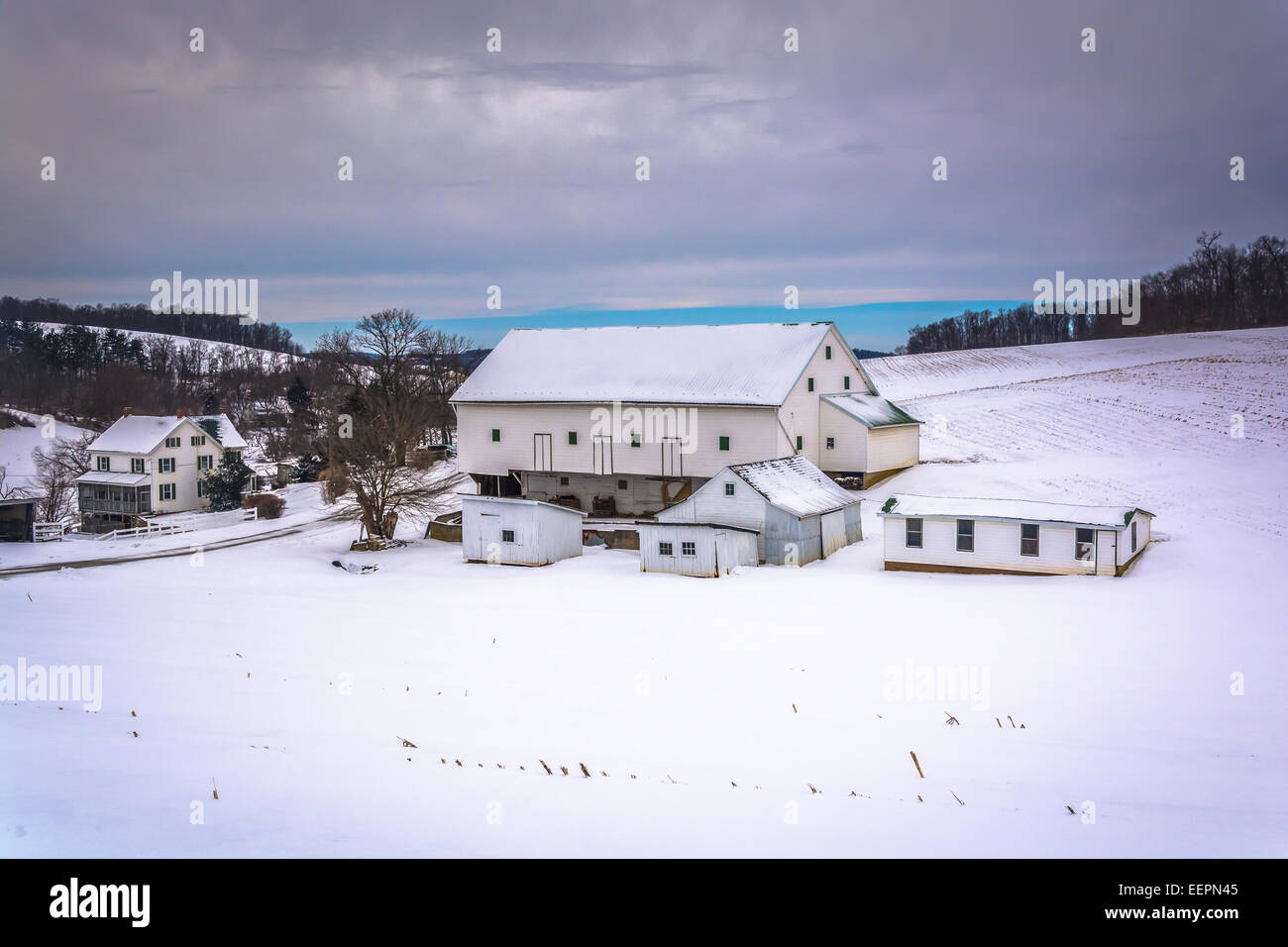 Scheune in ein Schneefeld überdachten Hof in ländlichen York County, Pennsylvania. Stockfoto