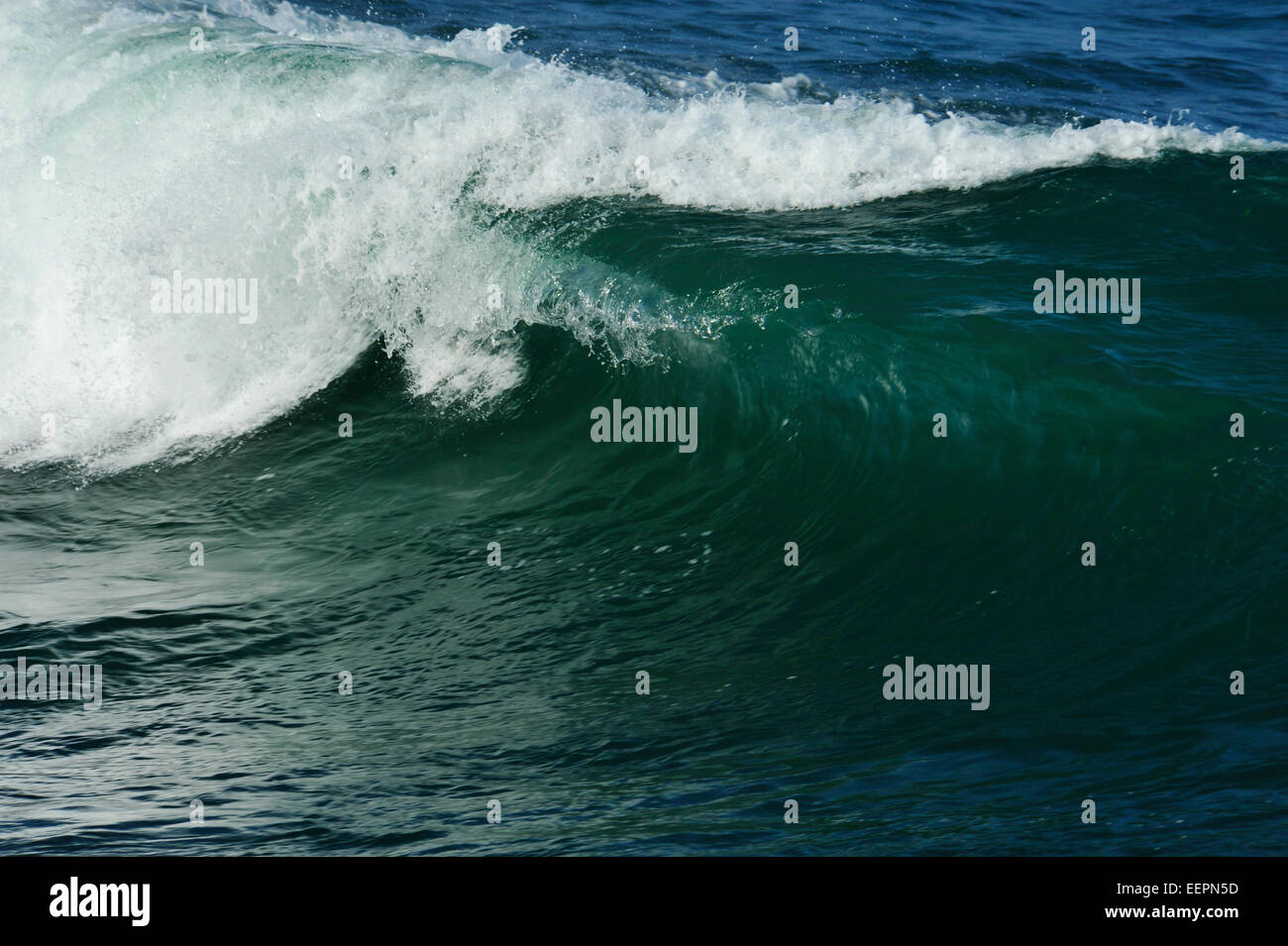 Schöne energetische Welle, minimale Meereslandschaft, Kraft der Natur, dynamische Meeresbewegung, Durban, Südafrika, afrikanische Küste, leere Landschaft, Grunge Stockfoto