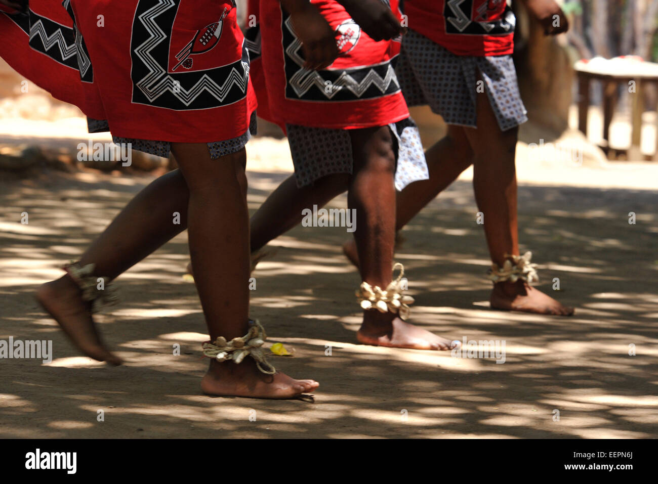 Synchronisiert Bein und Fuß Bewegung von drei Swazi Tänzerinnen während des traditionellen Tanz Show für Touristen, Matsamo Cultural Village, Swasiland Stockfoto