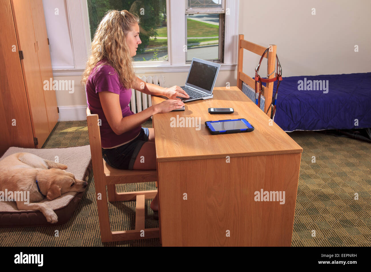 Schüler mit Sehbehinderung mit ihrem sprechenden Computer in ihrem Wohnheim-Zimmer mit ihrem Servicehund Stockfoto