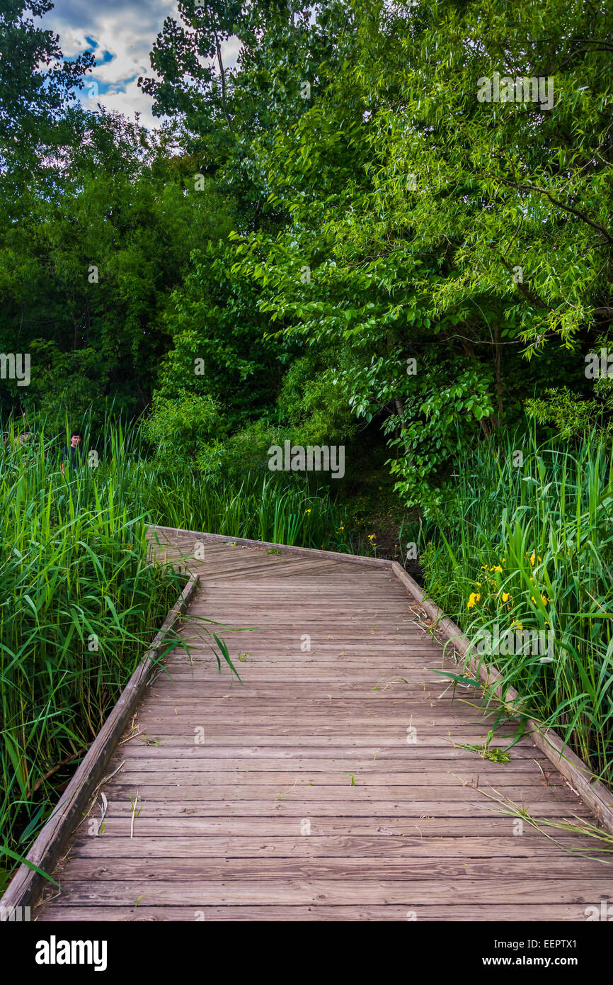 Promenade-Trail entlang der Teich bei Patterson Park, Baltimore, Maryland. Stockfoto