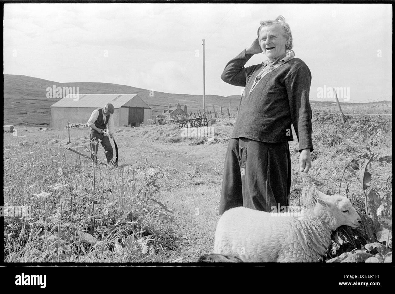 Jeannie die Crofter, und ihr Haustier Lamm, North nisten. Stockfoto