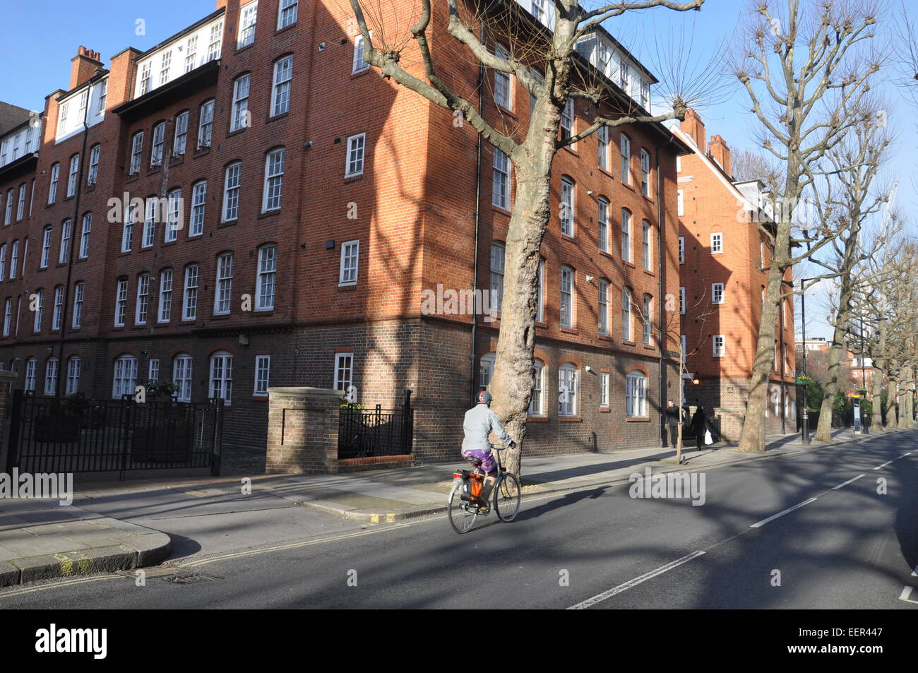 Wohnsiedlungen auf John Islip Street, Pimlico, London Stockfoto