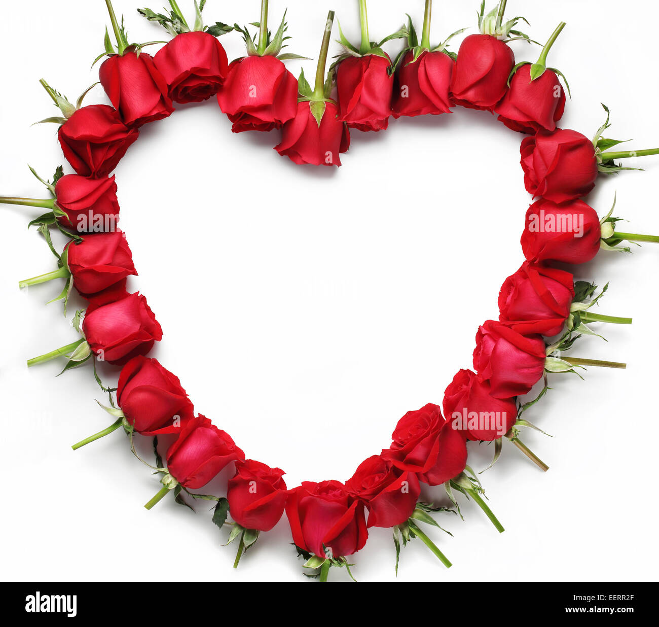 Herz aus roten Rosen isoliert auf weißem Hintergrund Stockfoto
