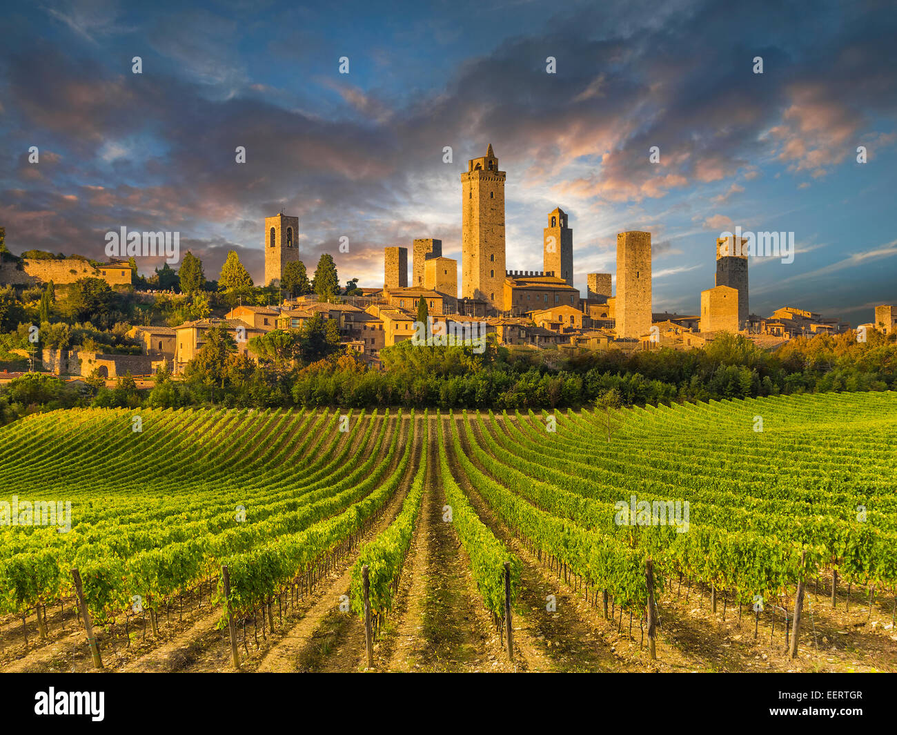Weingut bedeckt Hügeln der Toskana, Italien mit San Gimignano im Hintergrund Stockfoto