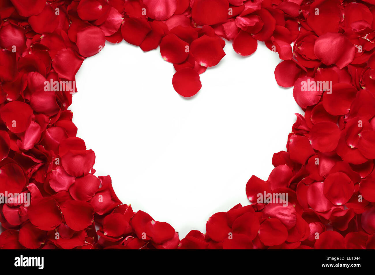 Herz aus roten Rosenblättern isoliert auf weißem Hintergrund Stockfoto