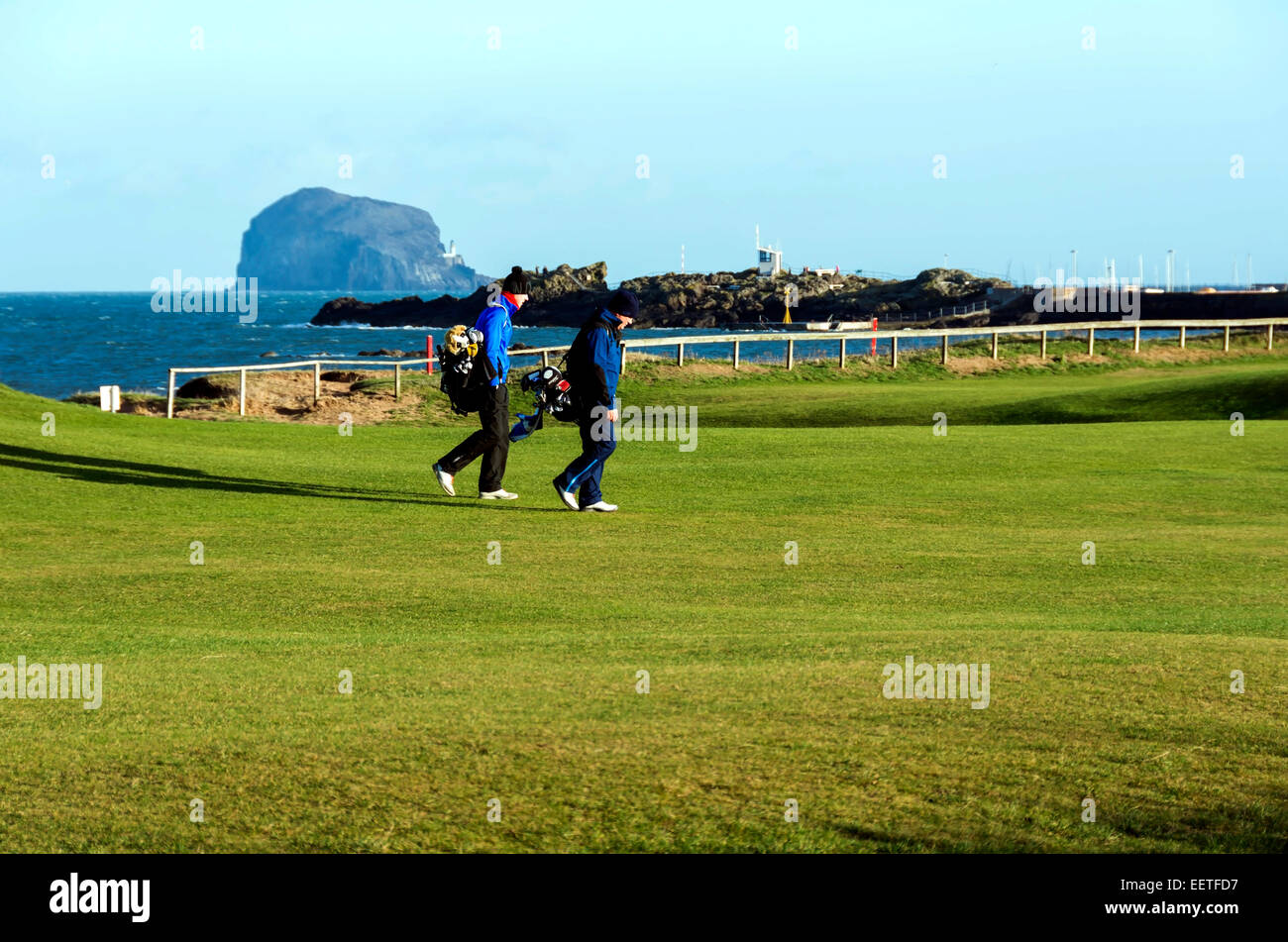 Golfer auf dem 18. Loch des West-Links-Golfplatz in North Berwick, Schottland, mit dem Bass Rock und Leuchtturm hinter. Stockfoto