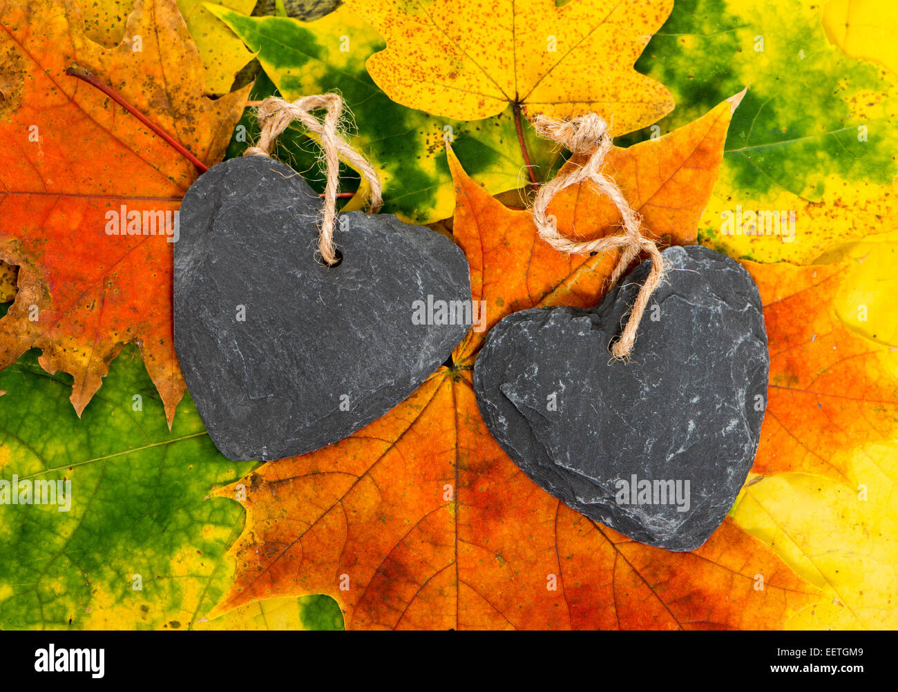 Zwei Herzen auf Herbst Blätter Stockfoto
