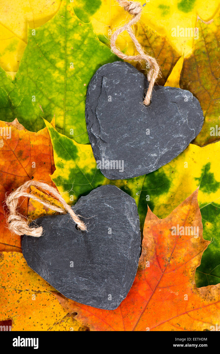 Zwei Herzen auf Herbst Blätter Stockfoto