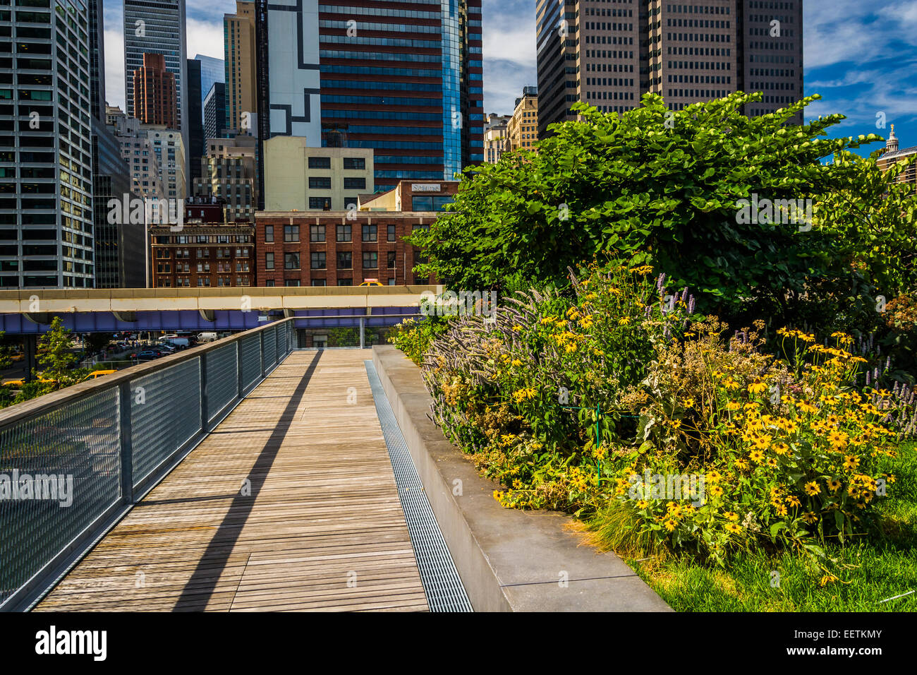 Büsche und Gebäude in Lower Manhattan von Pier 15, am South Street Seaport in Manhattan, New York. Stockfoto
