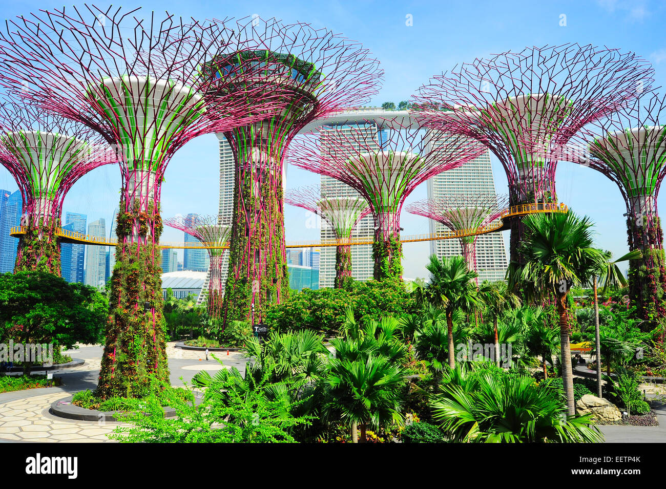 Gardens by the Bay in Singapur Stockfoto