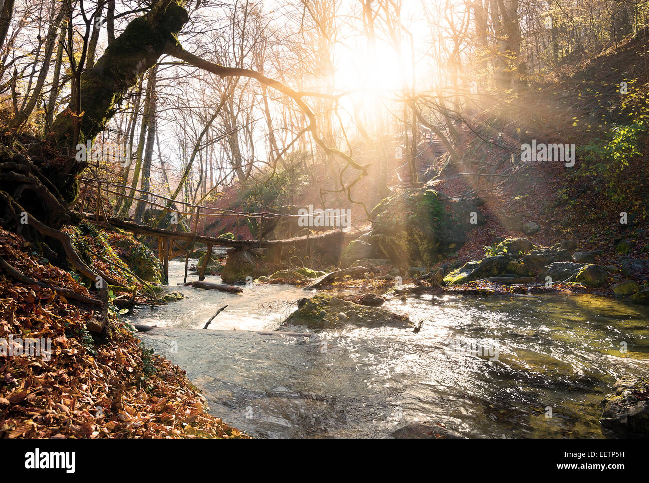Kleine Brücke über den Bergfluss im Herbst Stockfoto