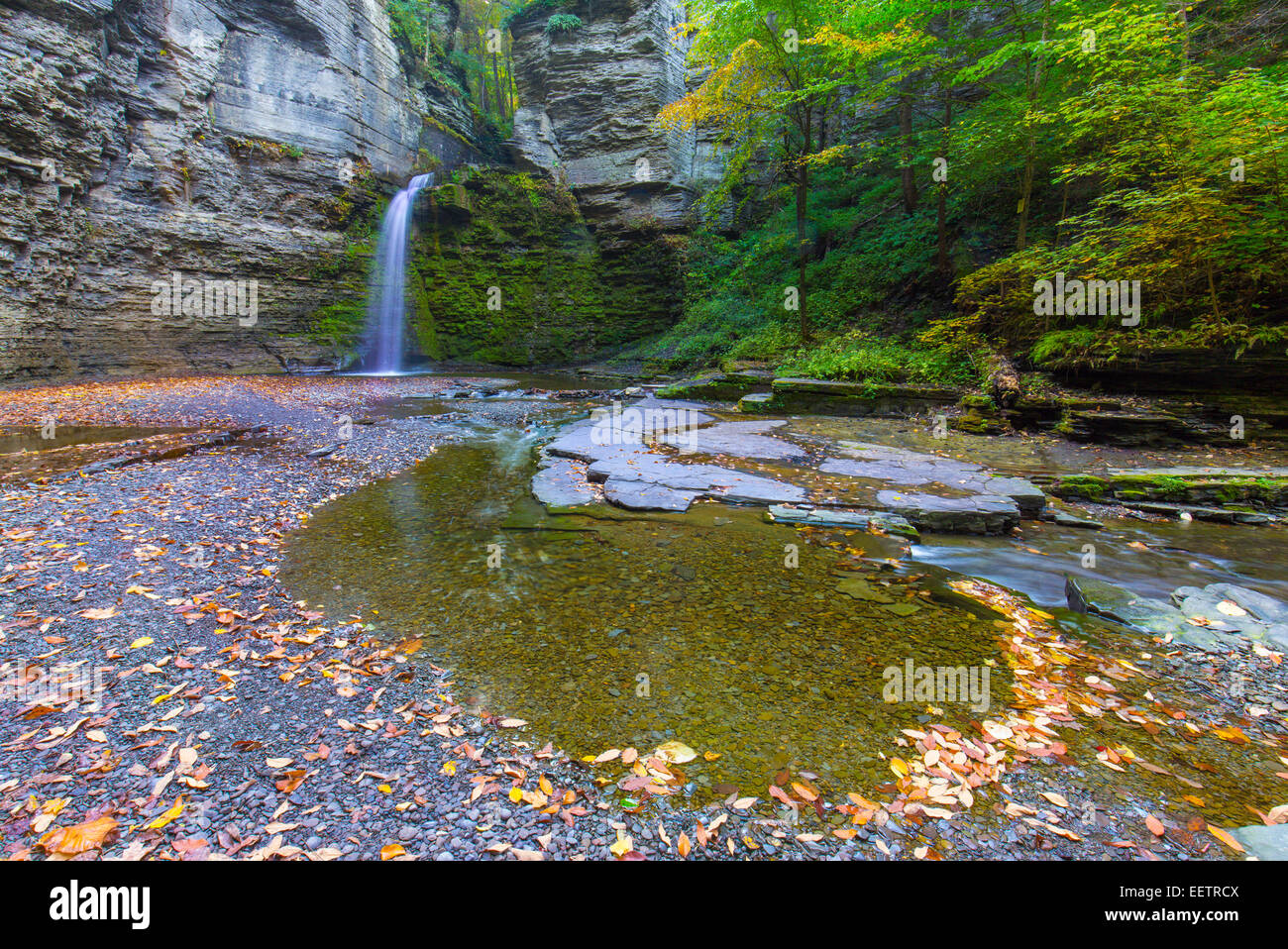 Eagle Cliff fällt auf McClure Creek in Havanna Glen Park in der Stadt Montour verliebt sich in die Finger Lakes Region von New York Stat Stockfoto