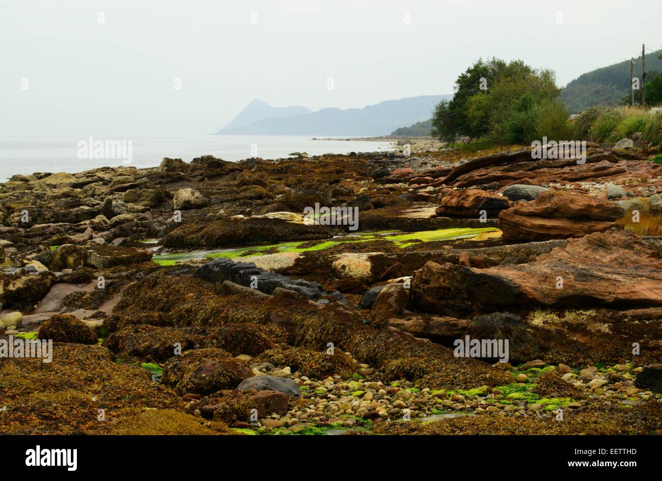 Küste bei Corrie auf der Isle of Arran, Schottland Stockfoto