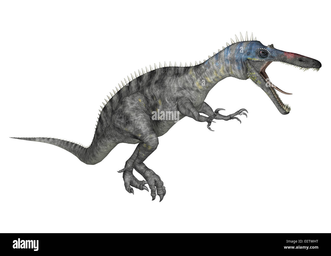 Digitale 3D Rendern einer Jagd Dinosaurier Suchomimus oder Suchomimus Tenerensis isoliert auf weißem Hintergrund Stockfoto