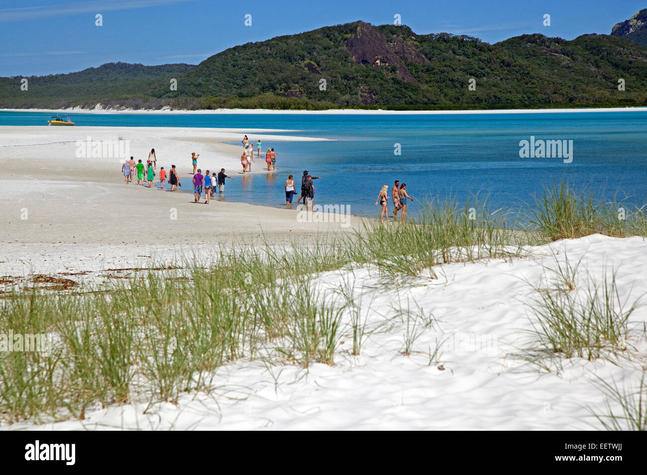 Touristen, die die Küstenlinie von Whitehaven Beach auf Whitsunday Island in der Coral Sea, Queensland, Australien Stockfoto