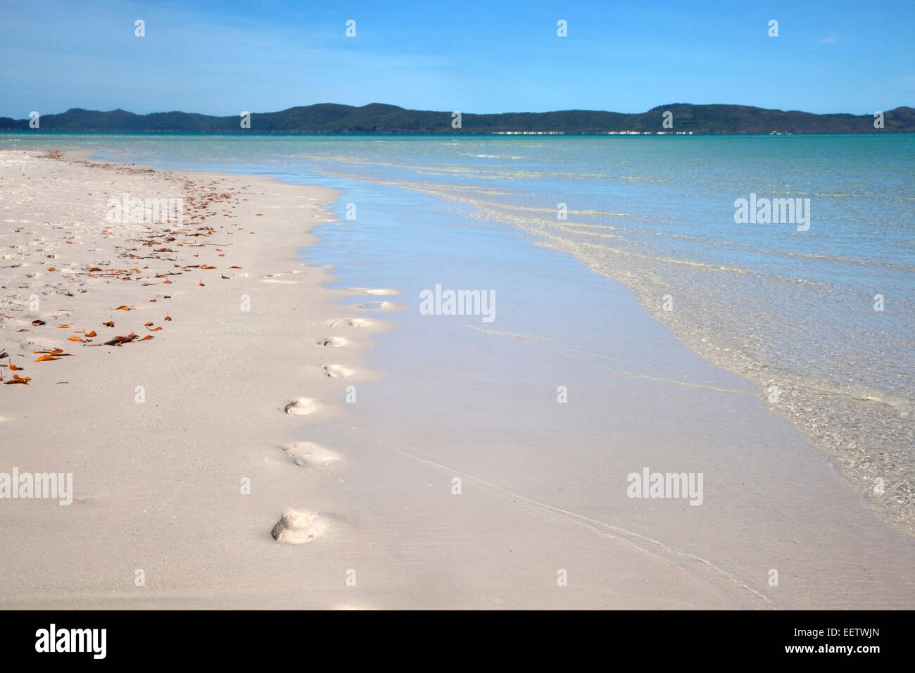 Weißen Sandstrand von Whitehaven Beach auf Whitsunday Island in der Coral Sea, Queensland, Australien Stockfoto