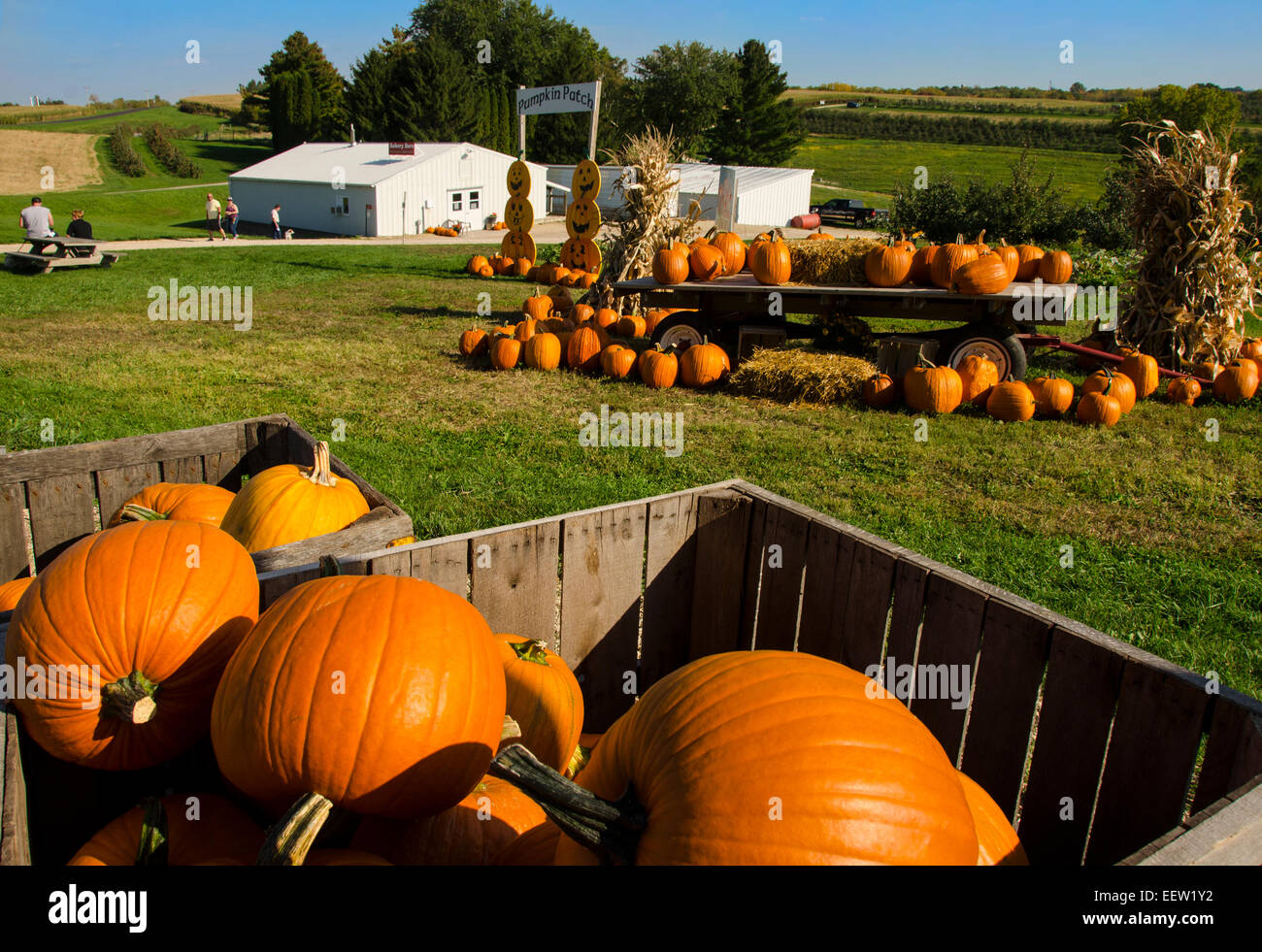 Kürbisse zum Verkauf an Shihatas Obstgarten und Apple House in der Nähe von Prairie du Chien, Wisconsin Stockfoto