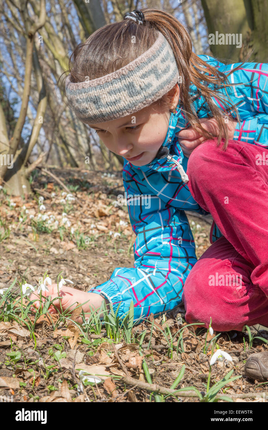 Kleines Mädchen in den Frühlingswald und die Schneeglöckchen Stockfoto