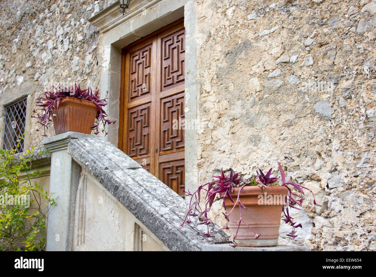 Rustikale Tür mit Treppe Mauerwerk mit Pflanzen Stockfoto