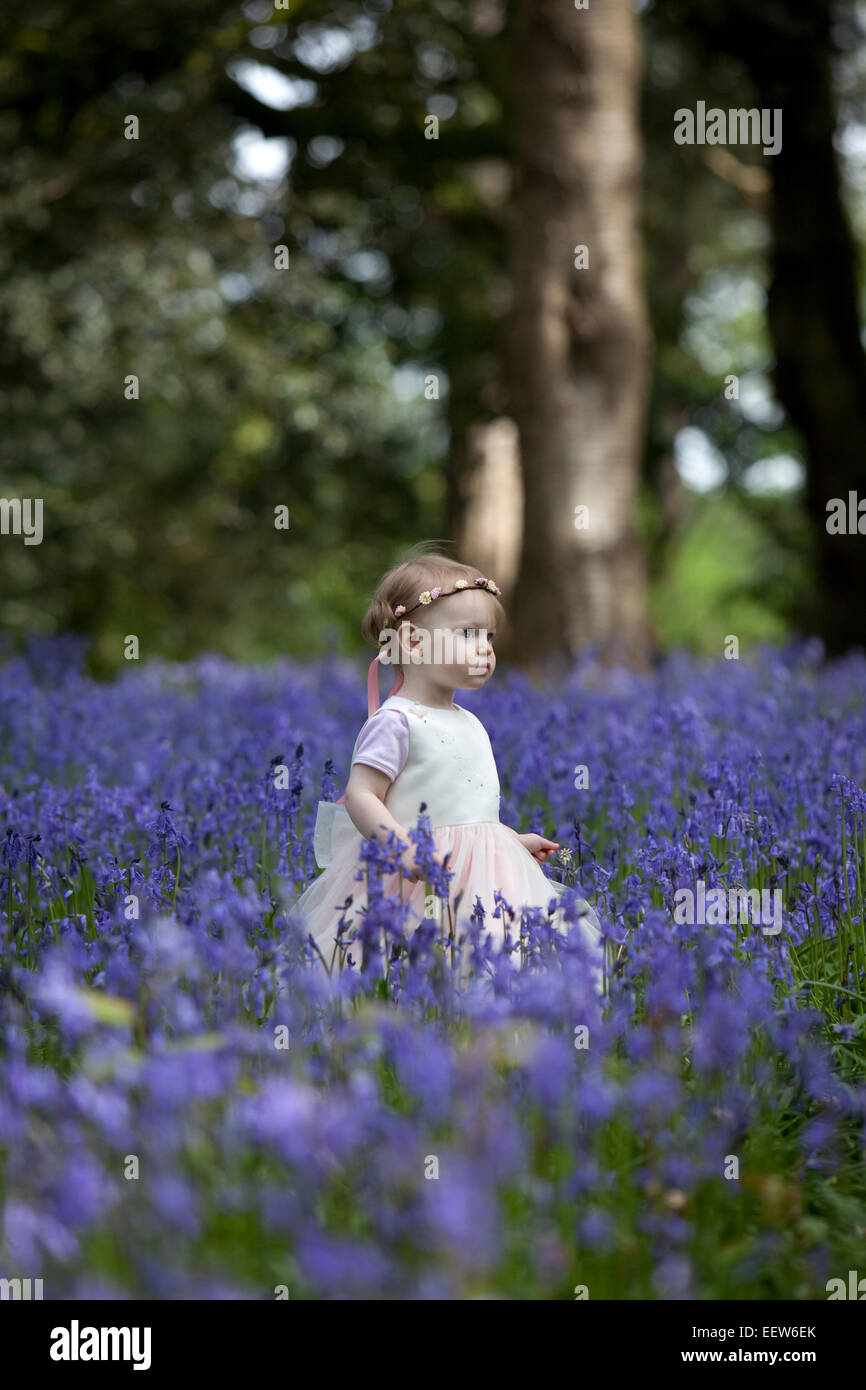 Kleines Mädchen in einem weißen Kleid in einem Holz voller wilde Glockenblumen im Frühjahr. Stockfoto