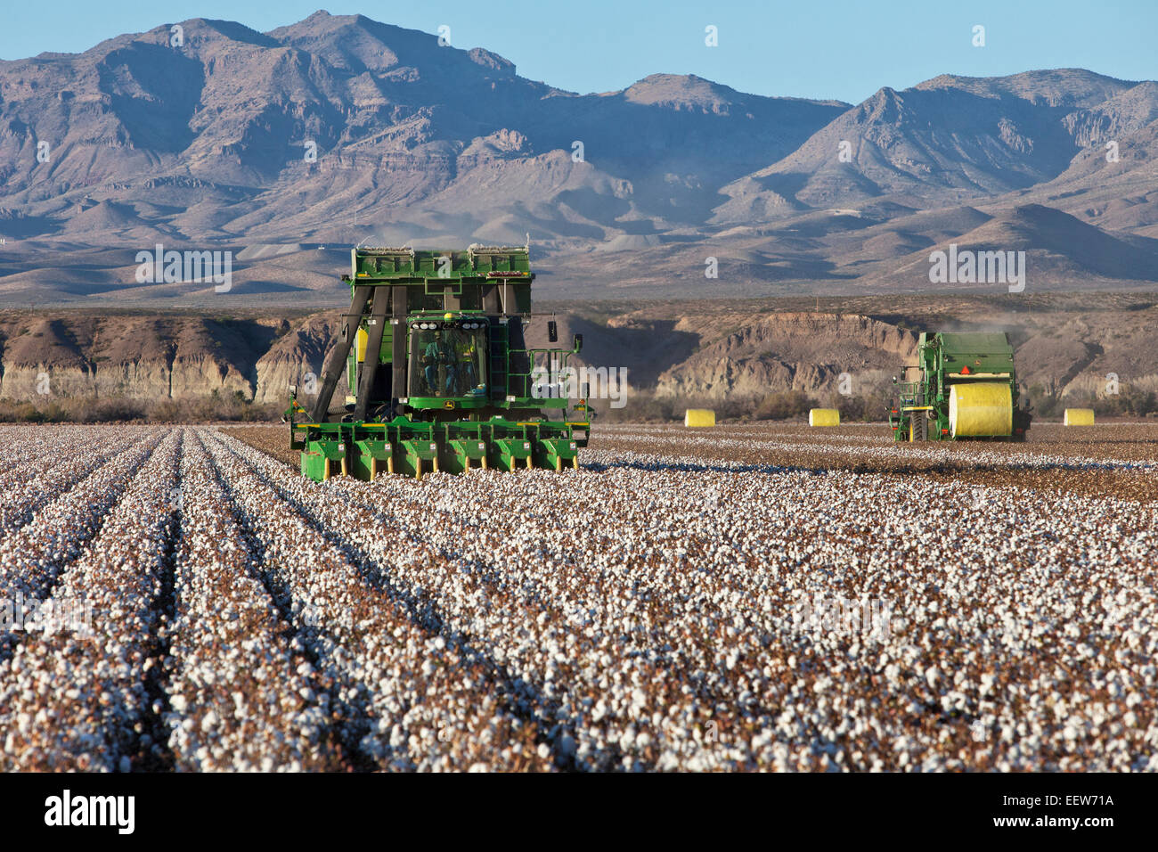 Landwirt 7760 John Deere Cotton Pickers Ernte Feld in Betrieb. Stockfoto