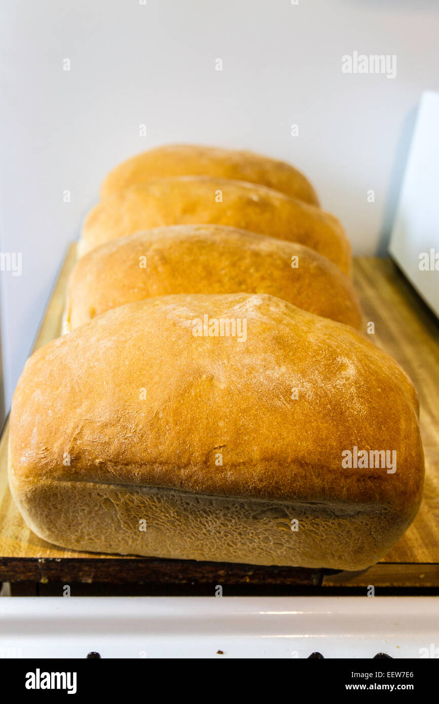Frisch gebackene Brote Stockfoto