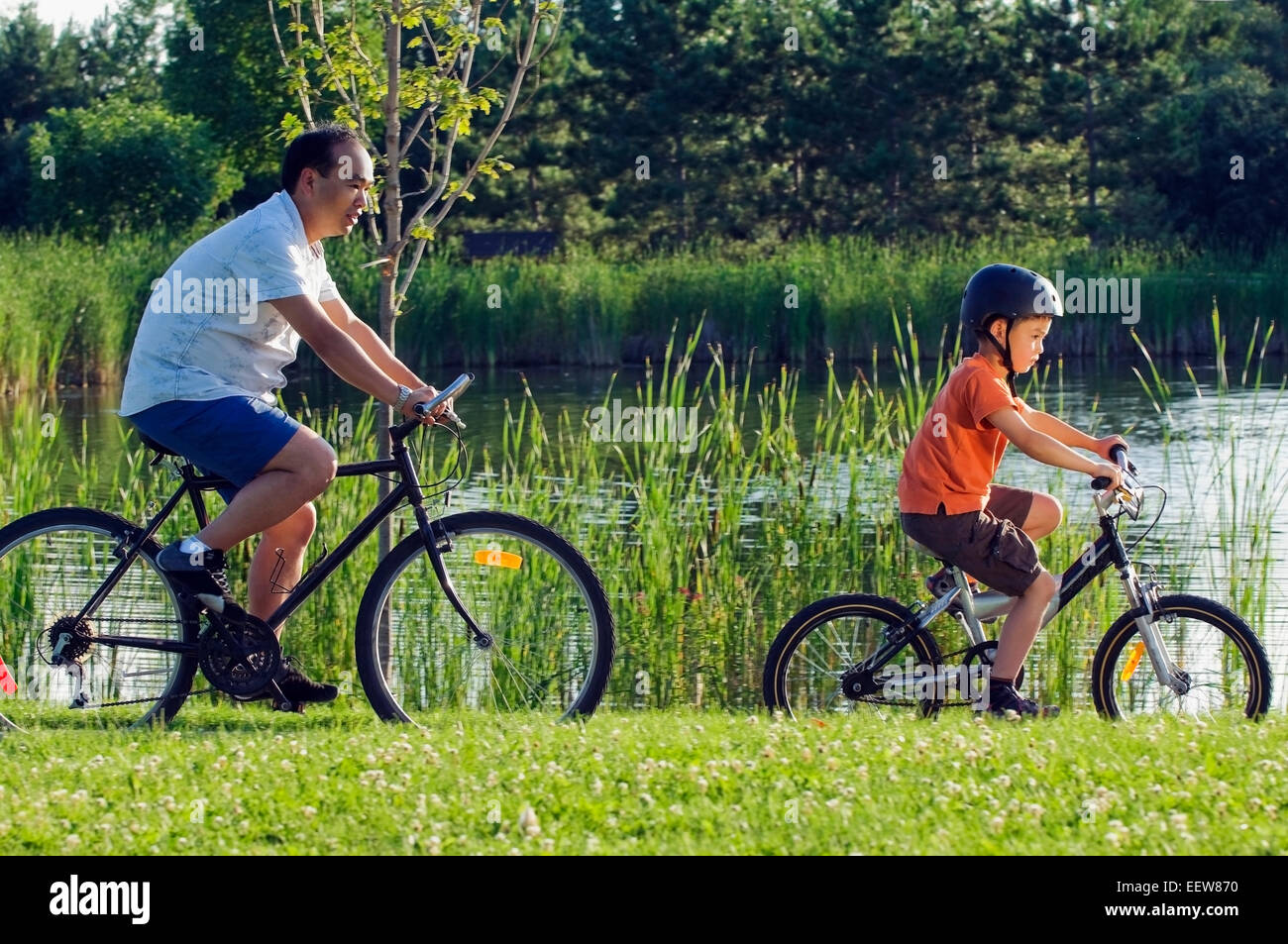 Vater und Sohn im Park mit dem Fahrrad Stockfoto