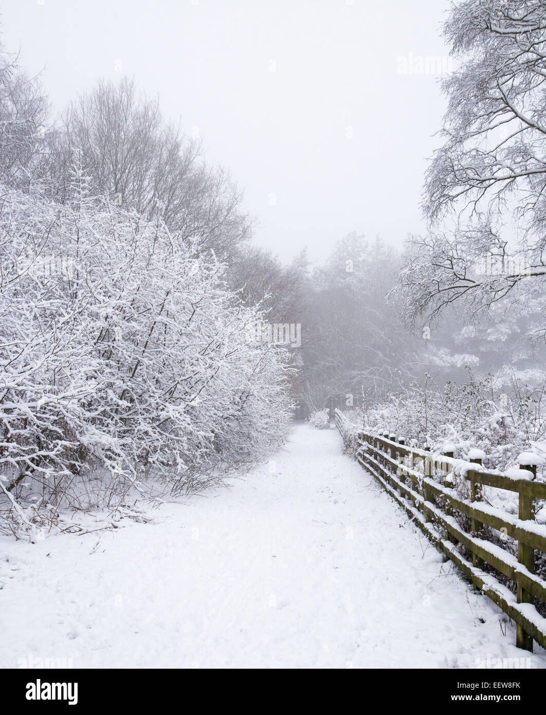 Winter schneebedeckte Landschaft in Yorkshire. Stockfoto