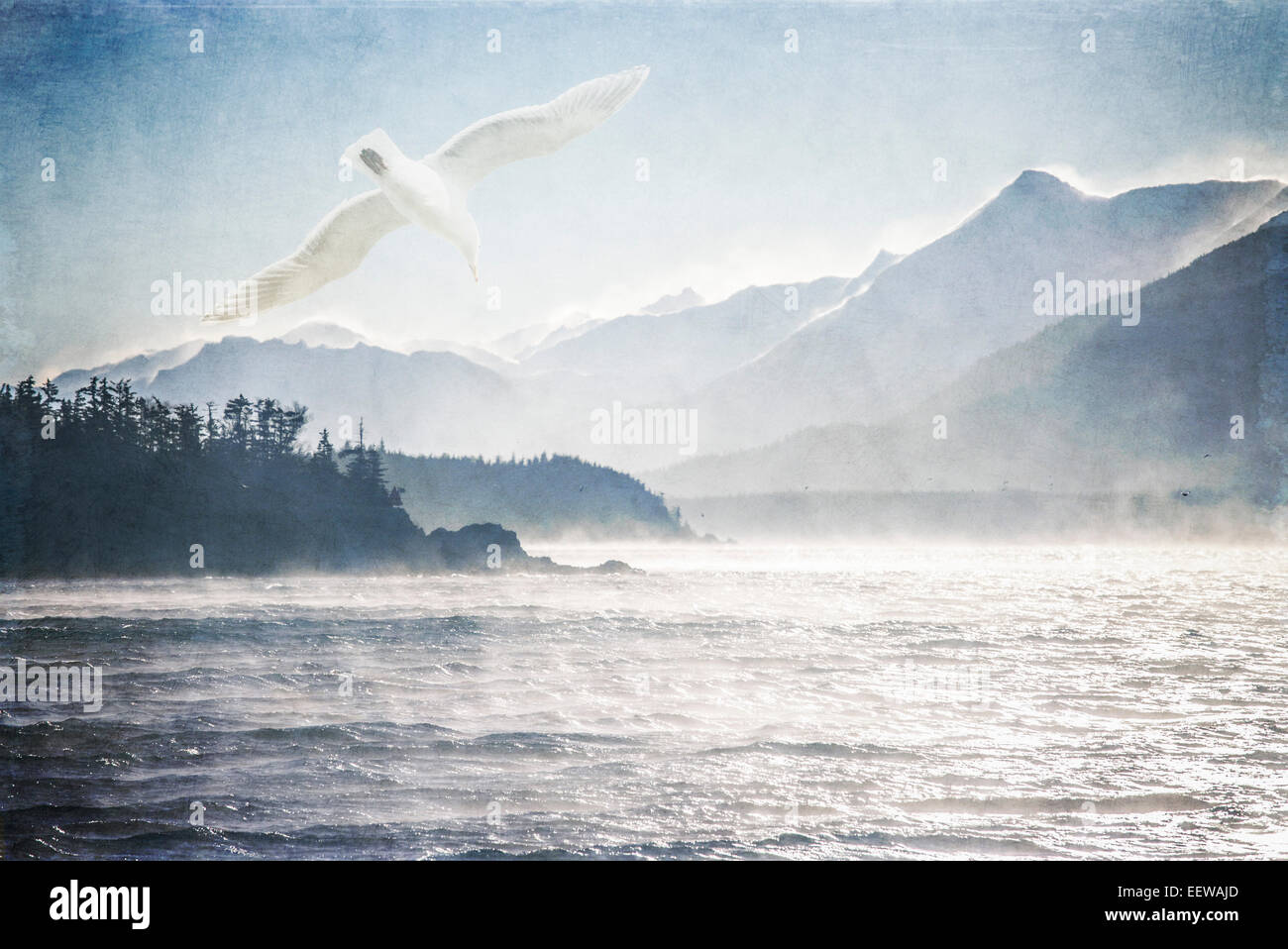 Möwen fliegen in rauer See an einem windigen Tag im südöstlichen Alaska mit Textur-Overlays für künstlerisch verarbeitet. Stockfoto