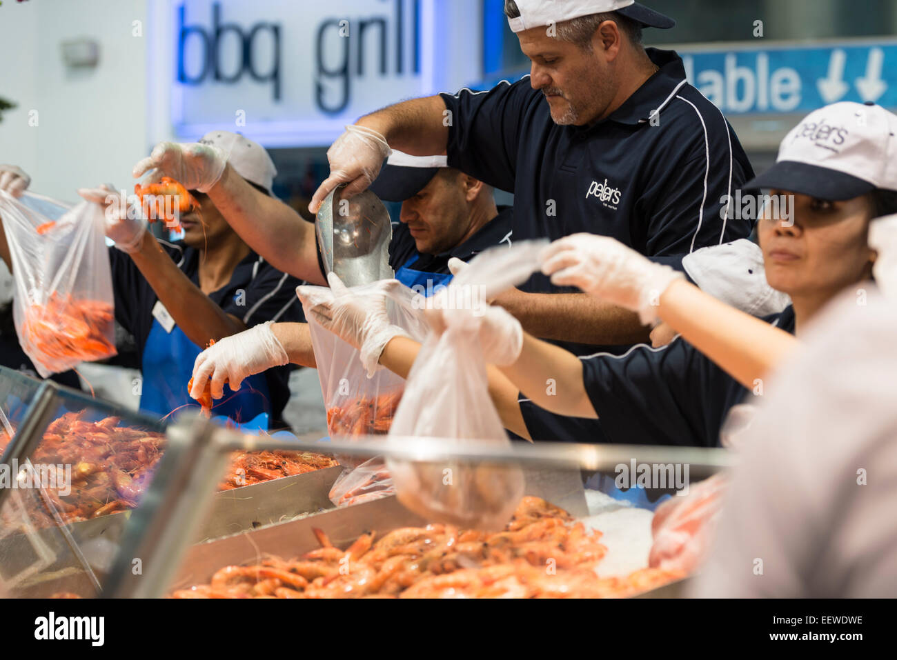 Die Garnelen mit Abschaltdruck Halter mit Fischhändler, Shell, Fische in Plastiktüten an der Sydney Fish Market, Heiligabend, Australien Abschaltdruck Stockfoto
