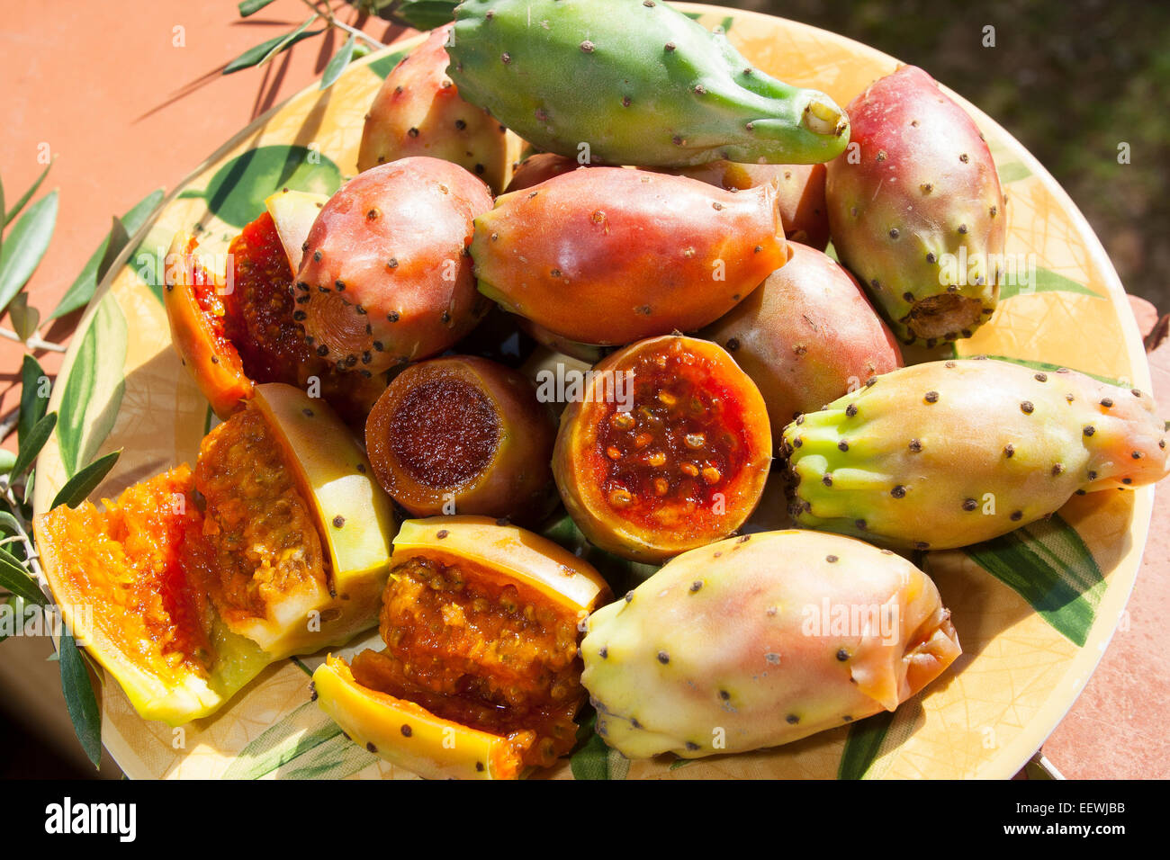 Indische Feigen Opuntia, Barbary Fig, Cactus Pear Prickley Pear, Echter  Feigenkaktus, Frucht, Kaktusfeige, Opuntia Ficus-indica Stockfotografie -  Alamy