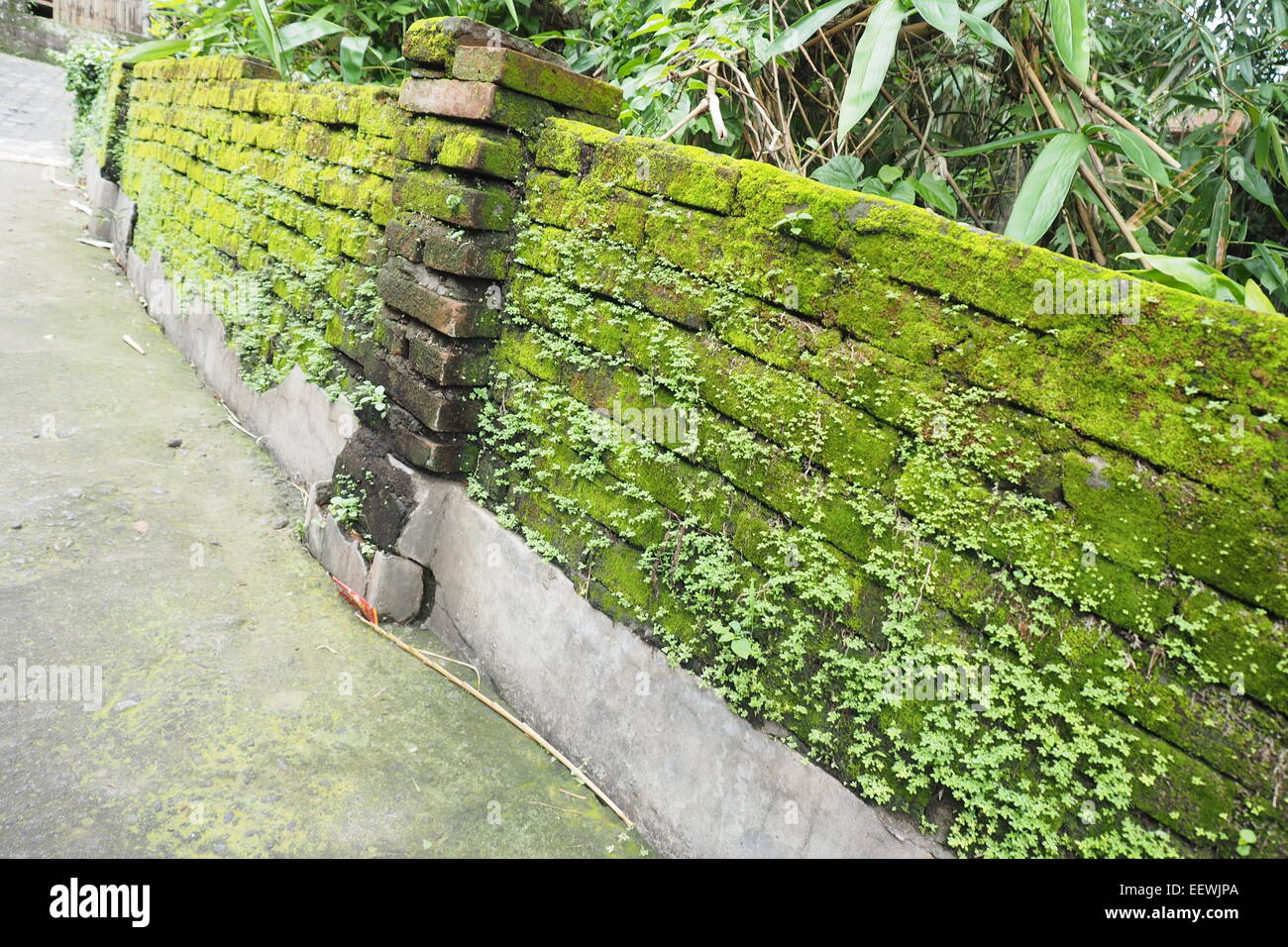 Moos bedeckte Mauer in Ubud, Bali. Stockfoto